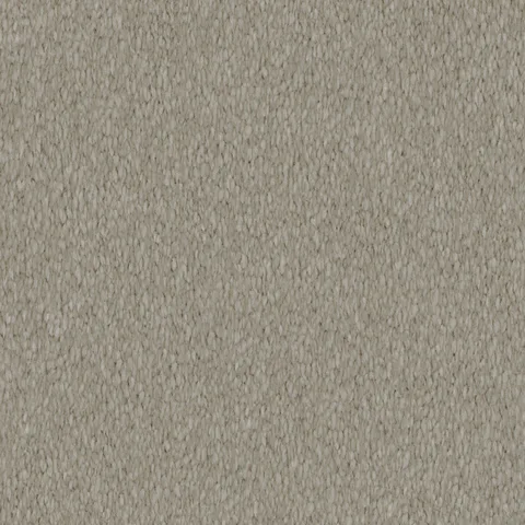 Andriod carpet swatch